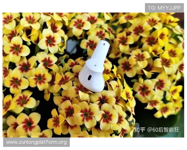 全面解析Z6尊龙备用平台的功能特色与用户使用体验优化方案 全面解析Z6尊龙备用平台的功能特色与用户使用体验优化方案