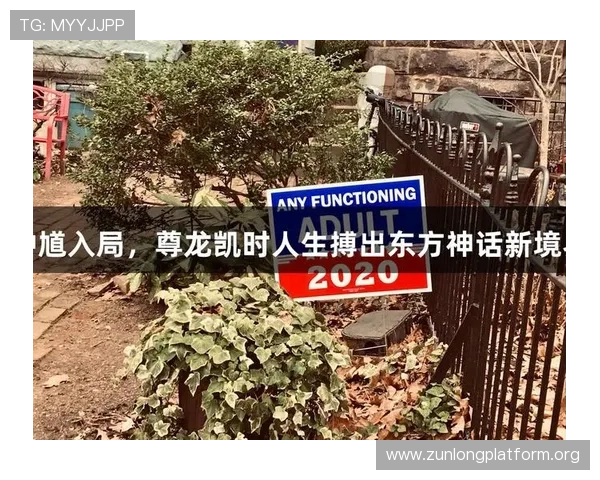 凯时尊龙人生就是搏：深度解析人生如搏击般的精彩瞬间，激励你不断突破自我极限
